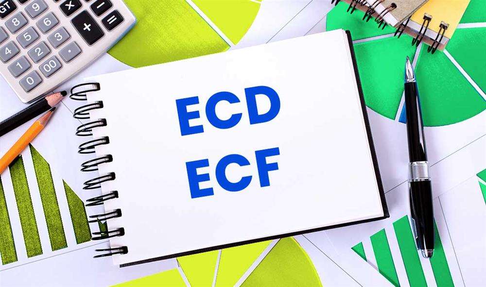 PRESENCIAL - PRÁTICO DE ECD E ECF 